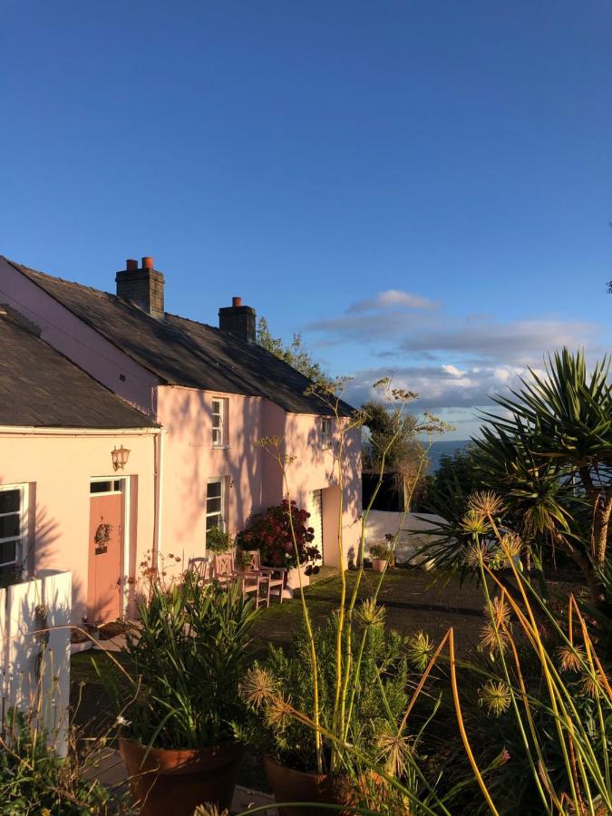 The Pink Cottage Upstairs Suite & Garden Summer Room Whitehead ภายนอก รูปภาพ